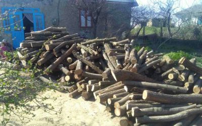 Holzlieferung Bocanceaschit