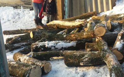 Holzlieferung Telenesti