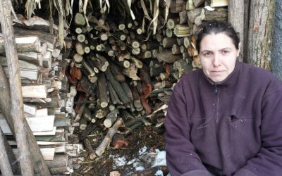 Einzelfallhilfe: Holzlieferung